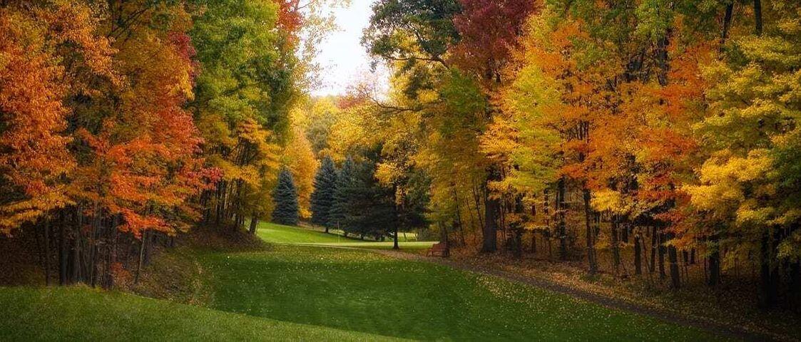 9482 Fawn Lake Drive