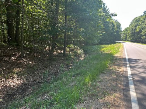Photo of V/L Ridge Road, Mears, MI 49436 (MLS # 25035904)