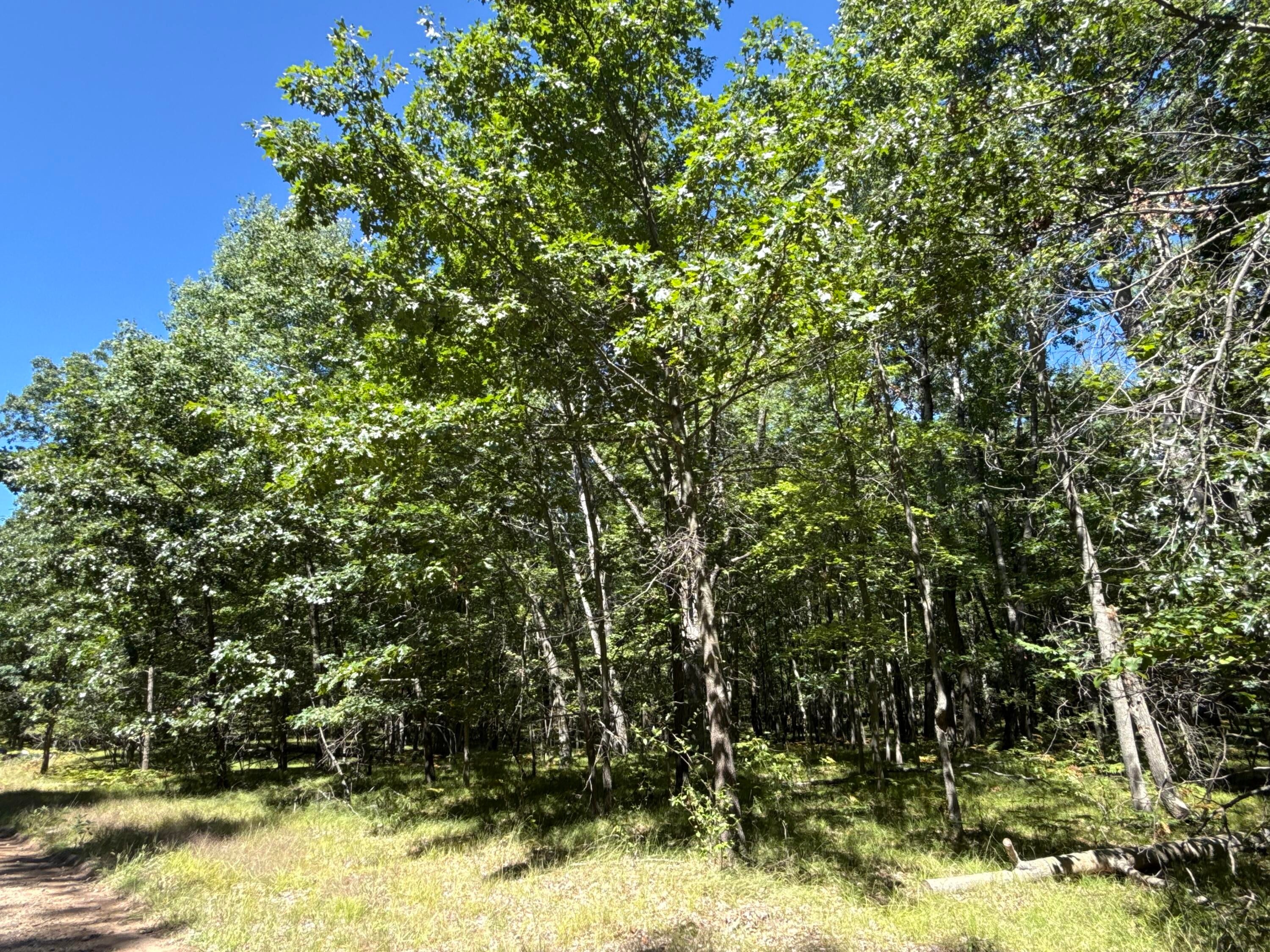 12060 Chinook Drive