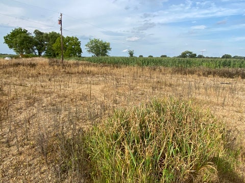 Photo for 197 W County Line Road