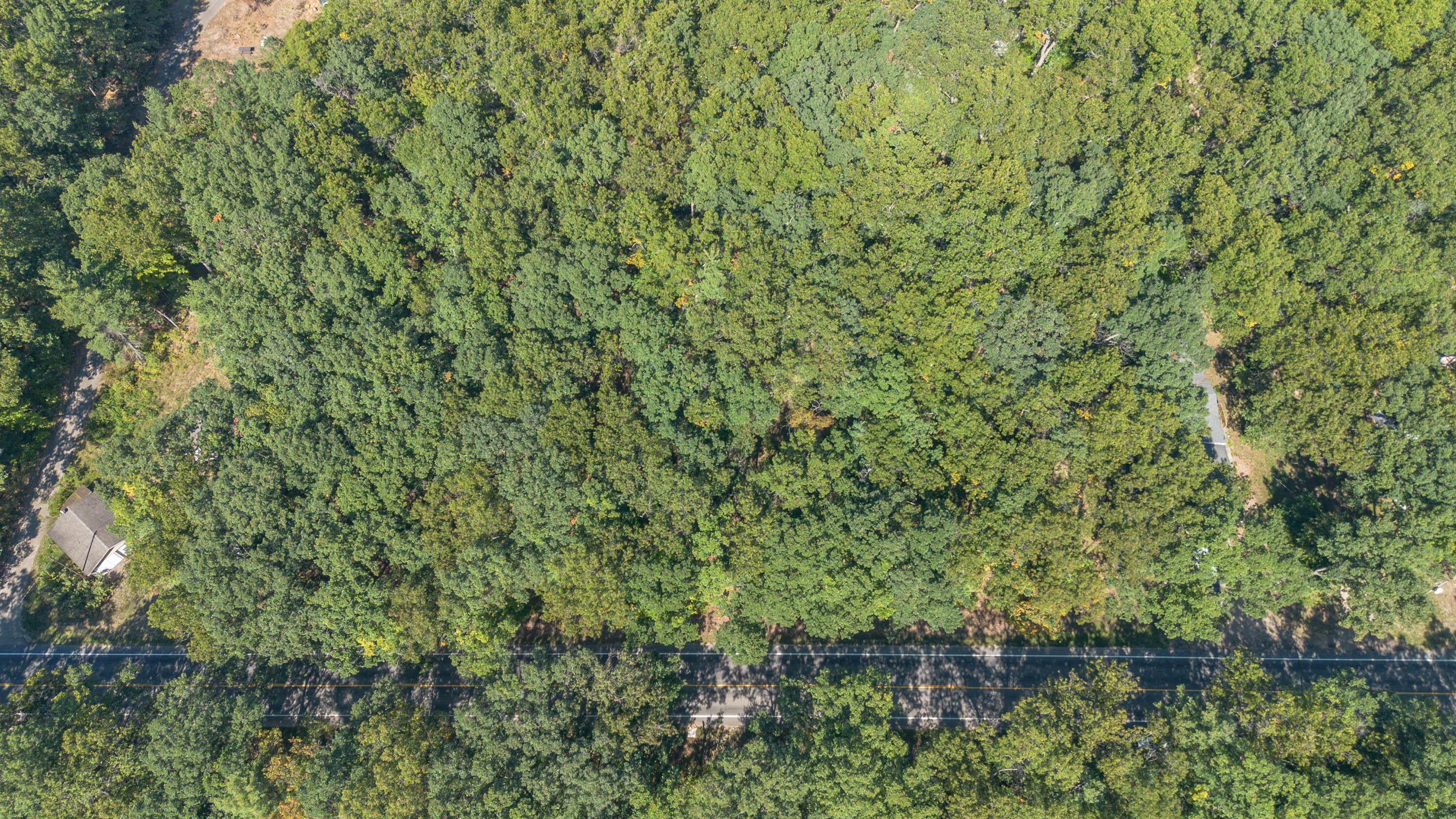 Monroe Vacant Land 2 Parcels Road
