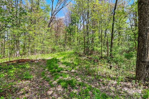Photo of N Uldriks Road, Battle Creek, MI 49017 (MLS # 26021681)
