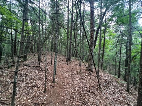 Photo of V/L A Lenox Avenue, Pentwater, MI 49449 (MLS # 25038922)