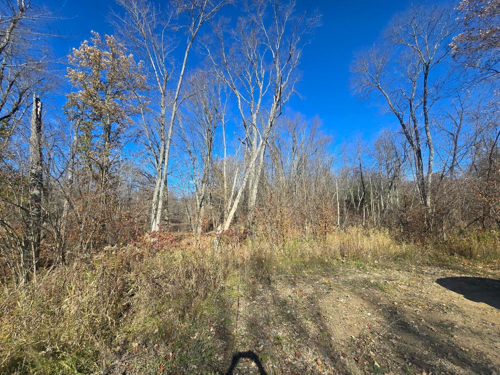 Photo of V/L E Cadillac Road, Merritt, MI 49667 (MLS # 25056406)