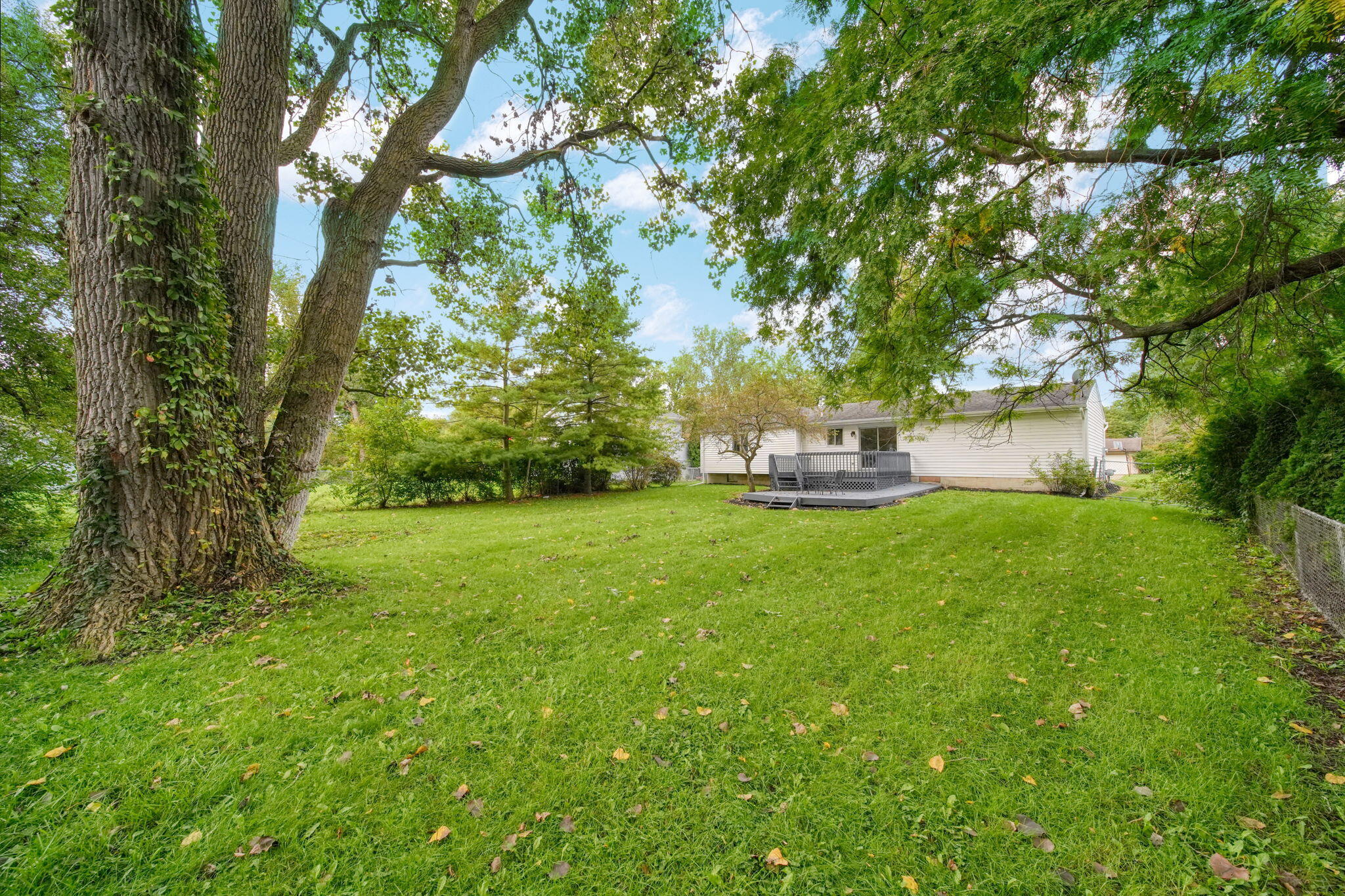Listing 24
