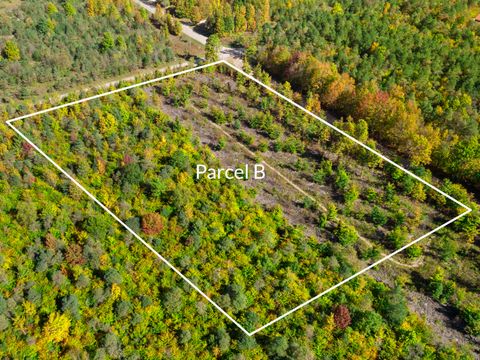 Photo of Parcel B Homestead Road, Beulah, MI 49617 (MLS # 25052106)