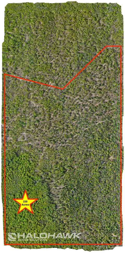 Photo of Parcel B S 142nd Avenue, Rothbury, MI 49452 (MLS # 25025707)