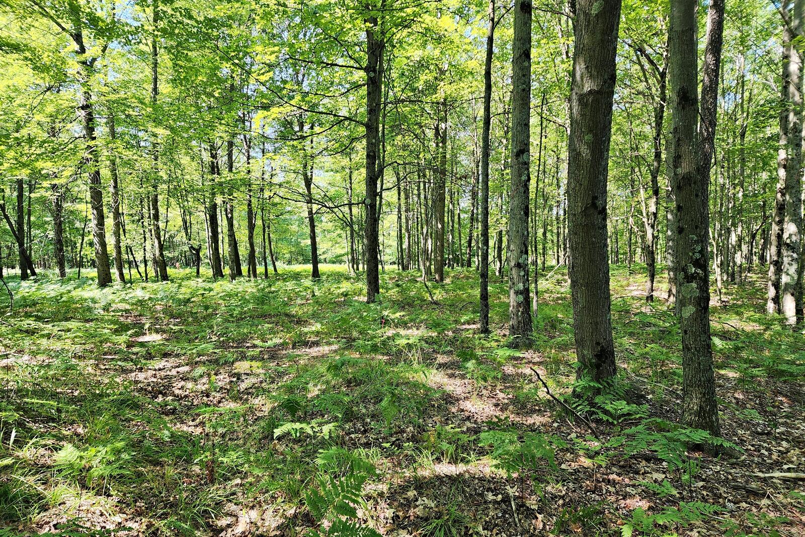 6127 Fawn Lake Drive