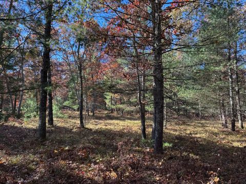 Photo of Parcel 3 County Line Road, Free Soil, MI 49411 (MLS # 26009979)