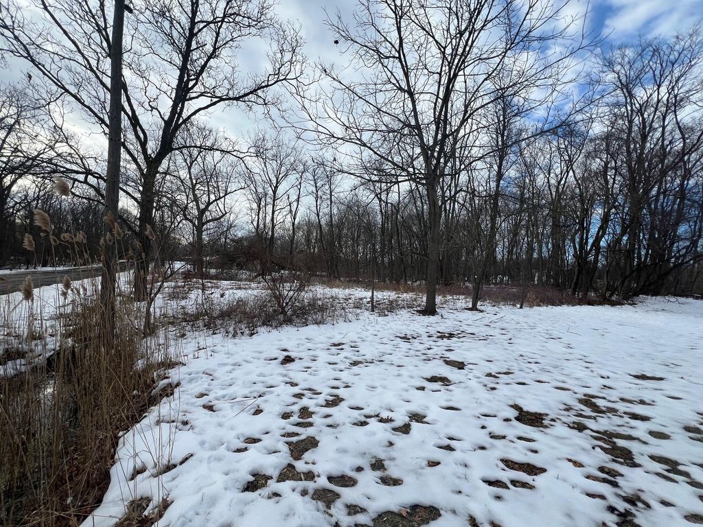 Photo of 106 W Washington Street, New Buffalo, MI 49117 (MLS # 26005518)