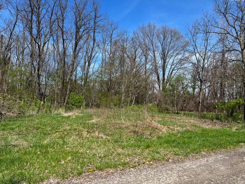 Photo of 106 W Washington Street, New Buffalo, MI 49117 (MLS # 26005518)