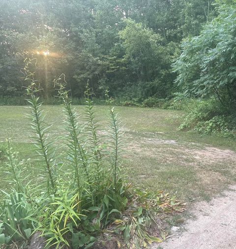 Photo of 17333 Summit Court, Barryton, MI 49305 (MLS # 25043283)