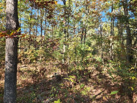 Photo of 259 S Baker Road, Wellston, MI 49689 (MLS # 25053689)
