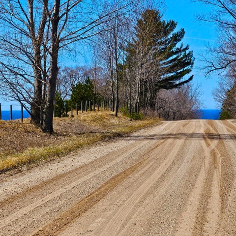 Photo of V/L Bischoff Road, Arcadia, MI 49613 (MLS # 26049422)