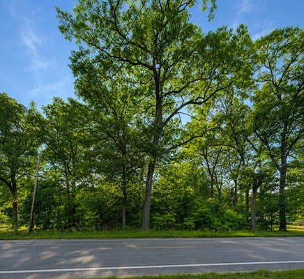 S MILL IRON RD, MUSKEGON, MI 49442 - Image 4b18dbfed16f3f2137c8a2135eff6d4b/2897127038