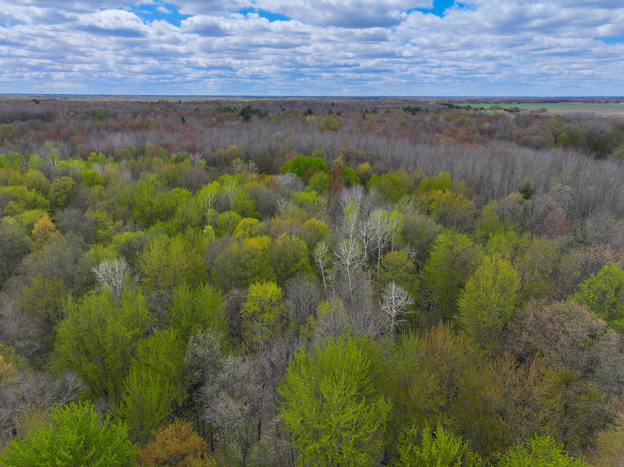 Listing 206