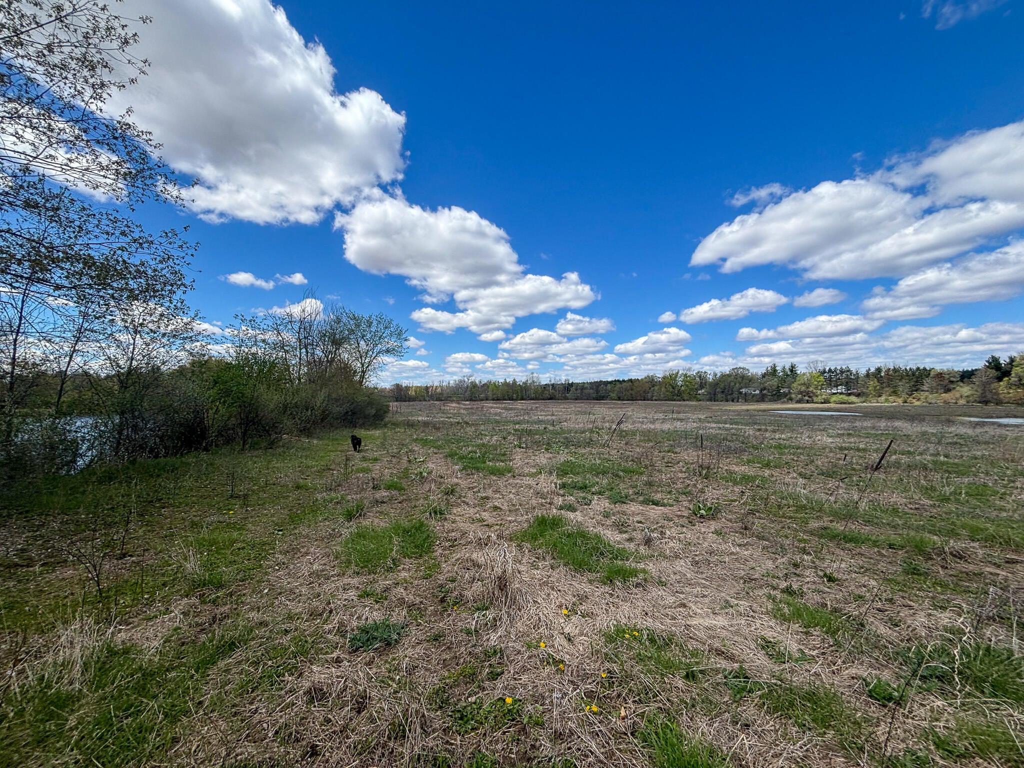 Listing 206