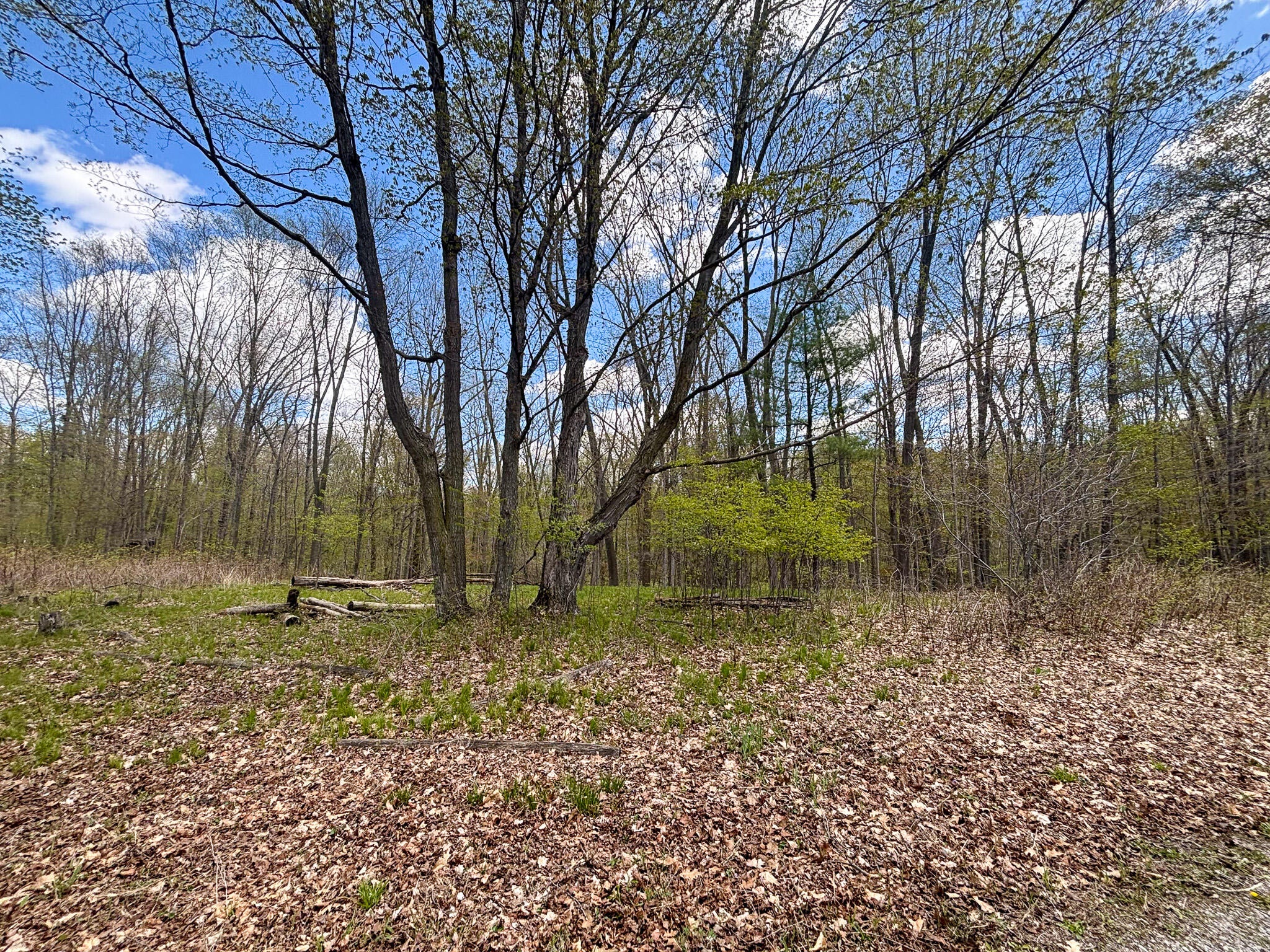 Listing 206
