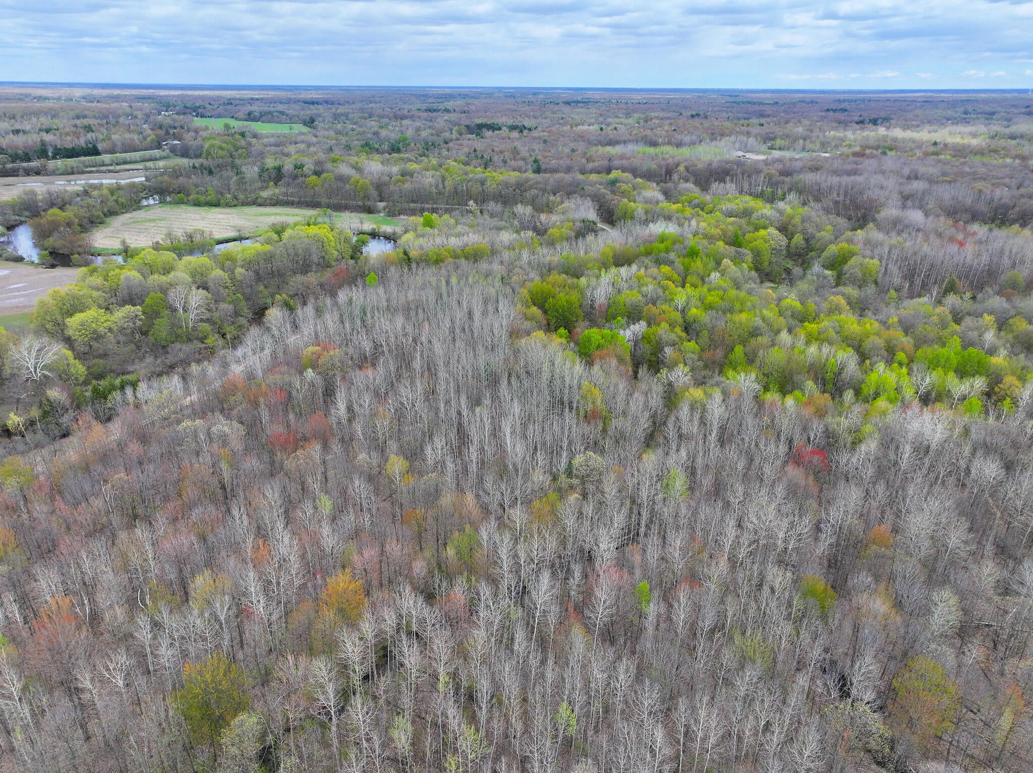 Listing 206