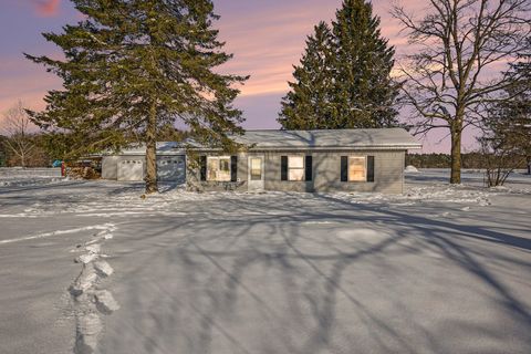 Photo of 3955 N River Drive, Newaygo, MI 49337 (MLS # 25060975)