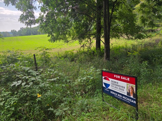CRISPELL RD, CLARKLAKE, MI 49234 - Image 4beba21881a522afc2817d087f05ff21/3347205647