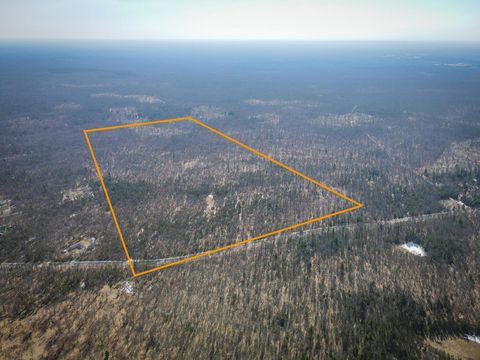 Photo of V/L Rybicki Road, Free Soil, MI 49411 (MLS # 25062140)