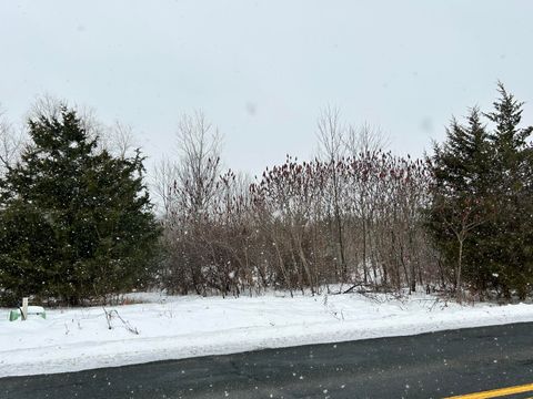 Photo of 1614 66th Street, Fennville, MI 49408 (MLS # 25061427)