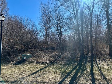 Photo of 7969 Amber Jam Way #25, Berrien Springs, MI 49103 (MLS # 26009456)