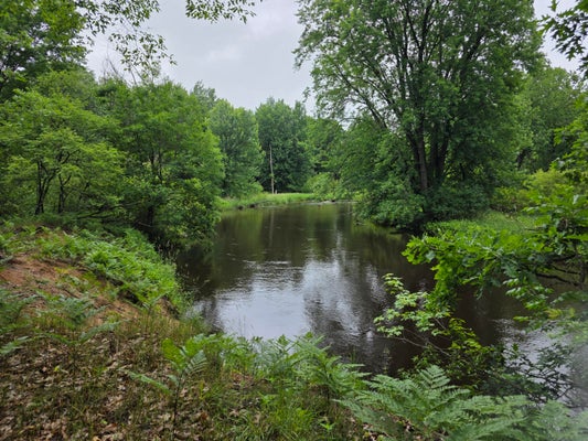 MADISON RD, HESPERIA, MI 49421 - Image 4c9ce4e890bdf5b460a8808d074a1403/3369710166