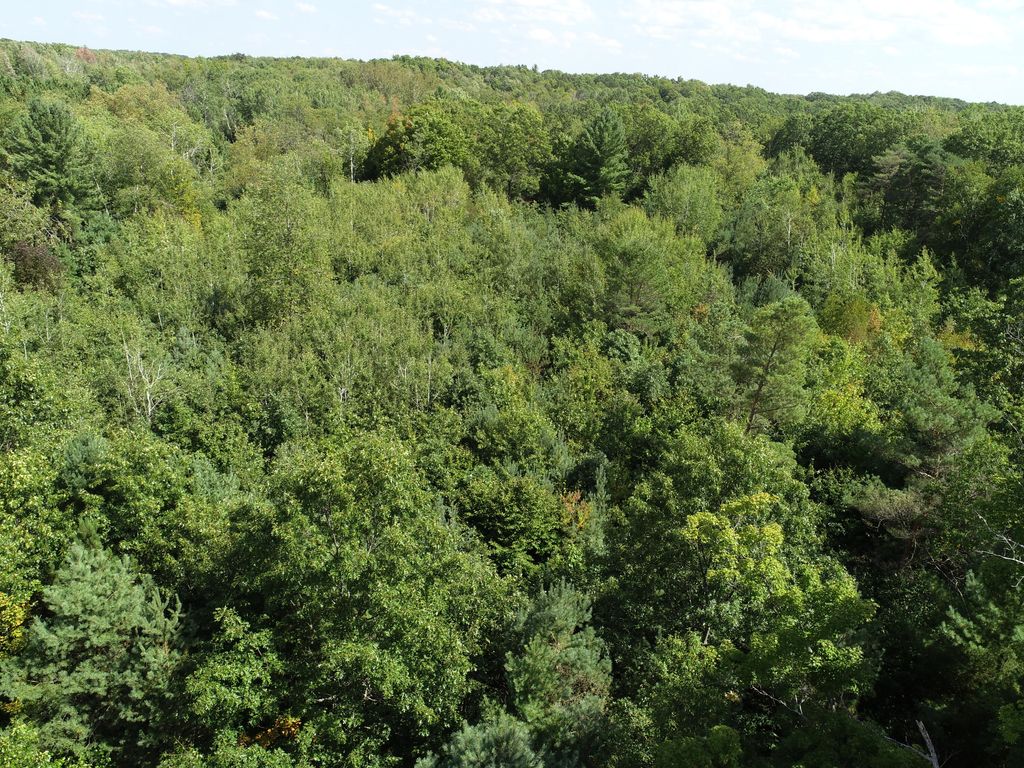 Photo of 00 N Hawkins Road, Luther, MI 49656 (MLS # 26005722)