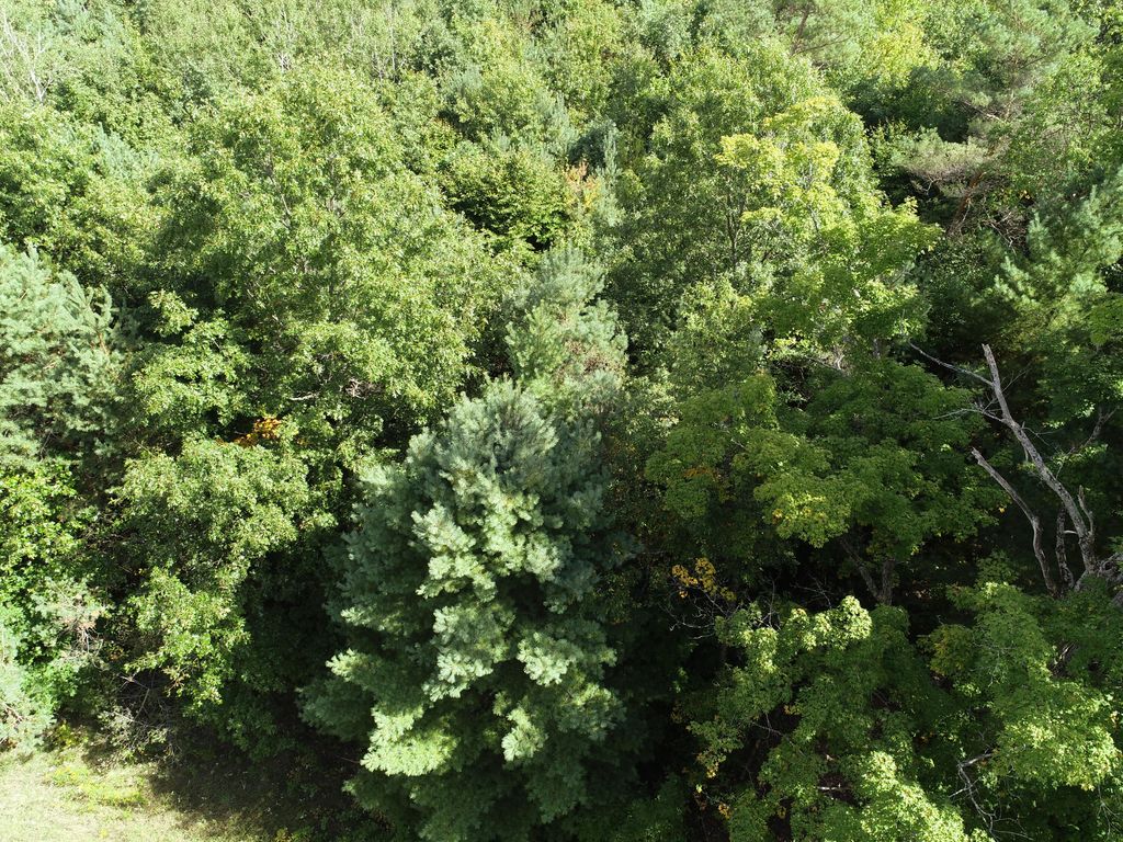 Photo of 00 N Hawkins Road, Luther, MI 49656 (MLS # 26005722)