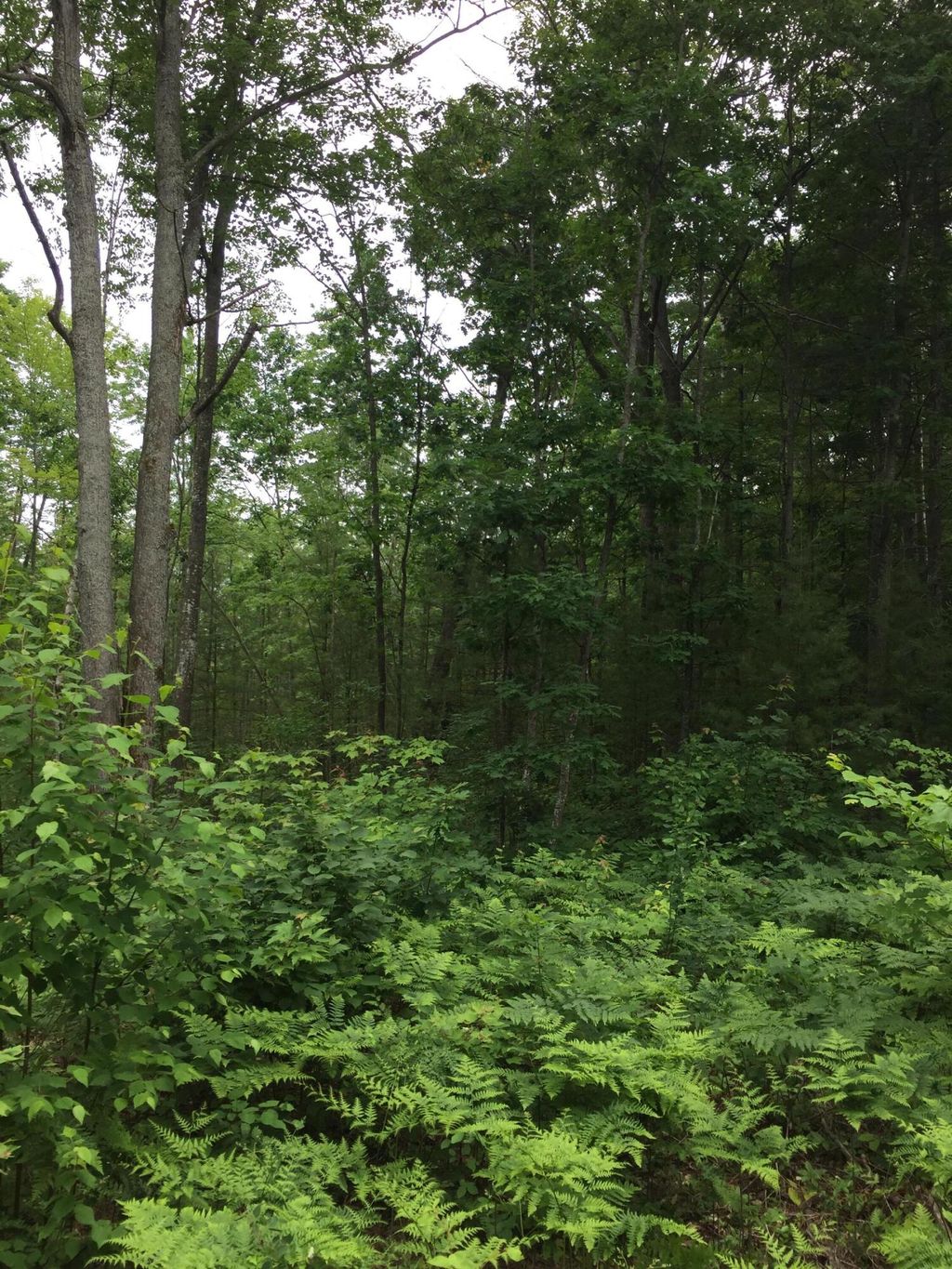 Photo of Dodge Lk Road #Parcel K, Gaylord, MI 49735 (MLS # 26005909)