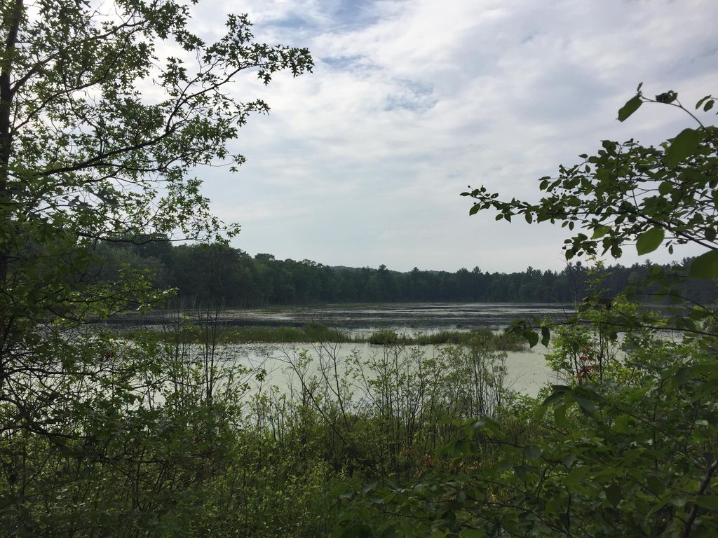 Photo of Dodge Lk Road #Parcel K, Gaylord, MI 49735 (MLS # 26005909)