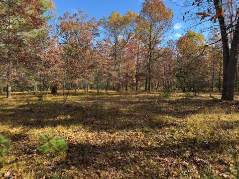Photo of Parcel 11 County Line Road, Free Soil, MI 49411 (MLS # 26009988)