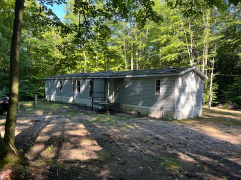 Photo of 4464 Leckrone Road, Brethren, MI 49619 (MLS # 25042413)