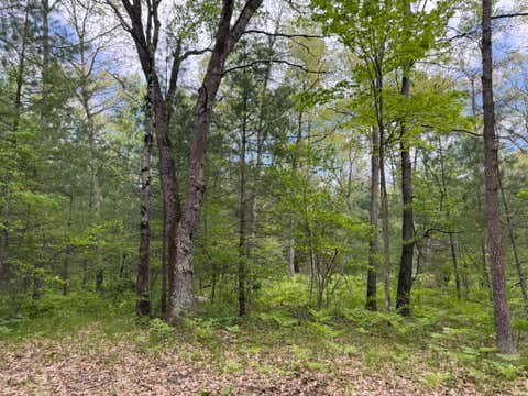 Photo of Harris Road, Wellston, MI 49689 (MLS # 26025720)