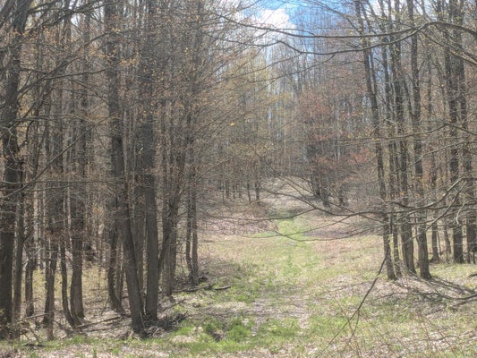 20179 COATES HWY, BRETHREN, MI 49619 - Image 4e93be9ef583f215cac191dee848628f/4184765377