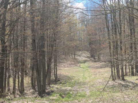 Photo of 20179 N Coates Highway, Brethren, MI 49619 (MLS # 26020479)
