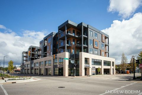 159 S River Avenue Holland MI 49423