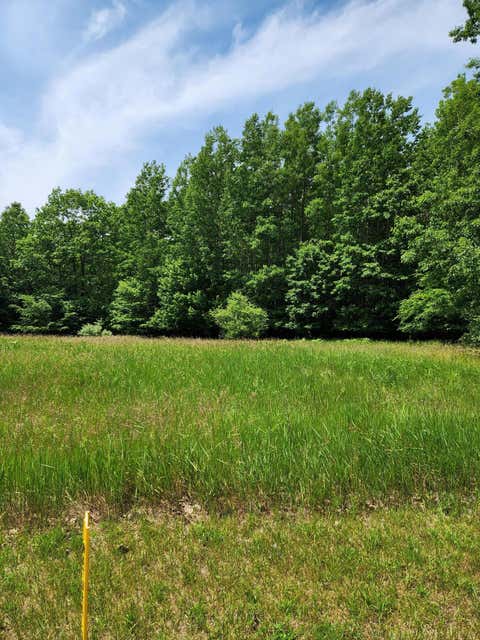 Photo of 00 Opal Ridge Drive #64, Onekama, MI 49675 (MLS # 26038905)