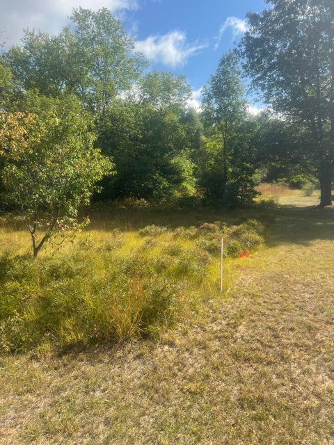 Photo of Evergreen, Brethren, MI 49619 (MLS # 26047047)