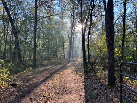 Photo of 7230 S Kenwood Avenue, Baldwin, MI 49304 (MLS # 26013281)