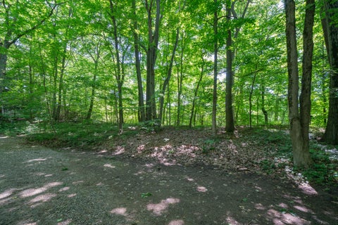 Photo for VL Ramblewood Circle