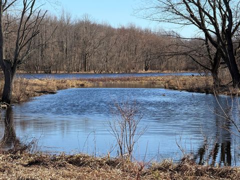 Photo of VL E Dowling Road, Dowling, MI 49050 (MLS # 26013499)