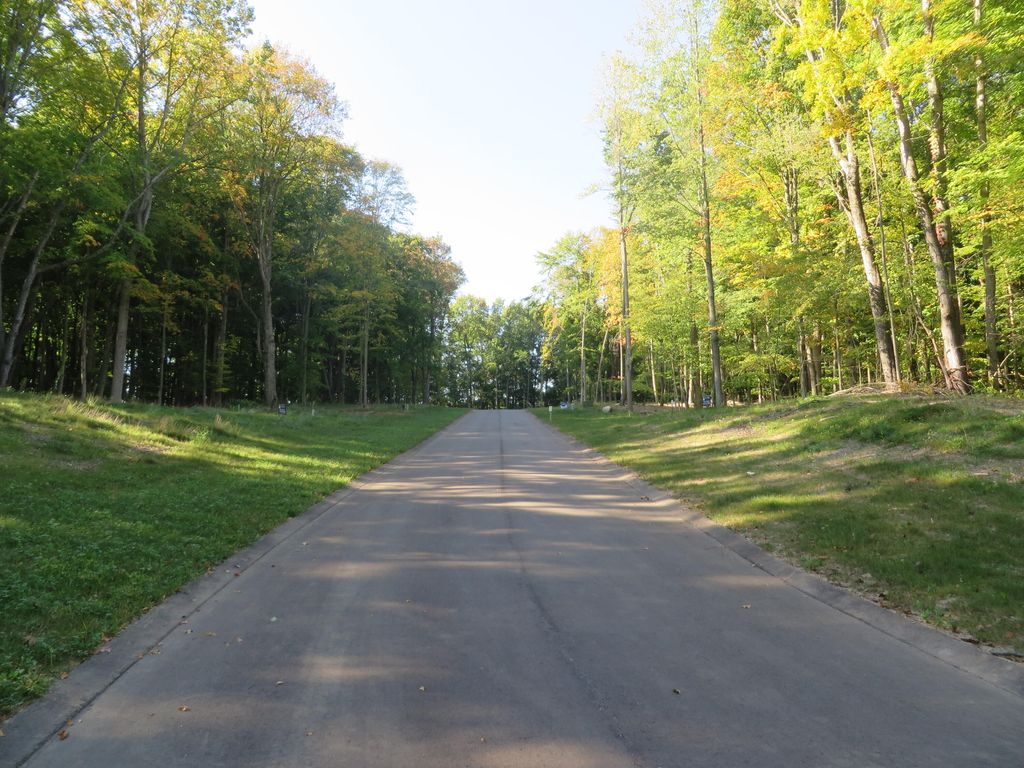 Photo of 8735 Rainbows End Court SE #Parcel 4, Caledonia, MI 49316 (MLS # 26000546)