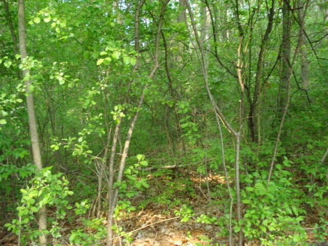 2300 Helena Avenue - Photo 2