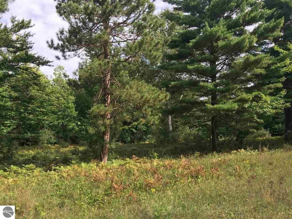 Photo of Wildwood Trail, Manistee, MI 49660 (MLS # 26005680)