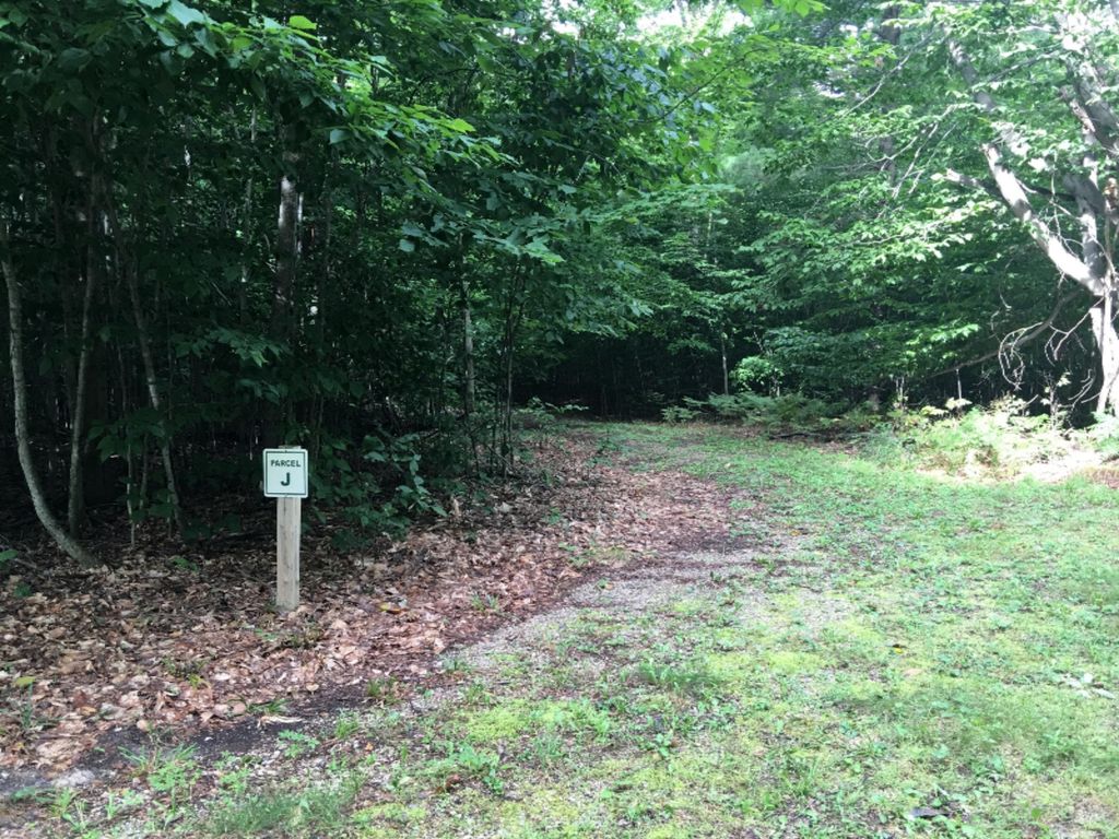 Photo of Wildwood Trail, Manistee, MI 49660 (MLS # 26005680)