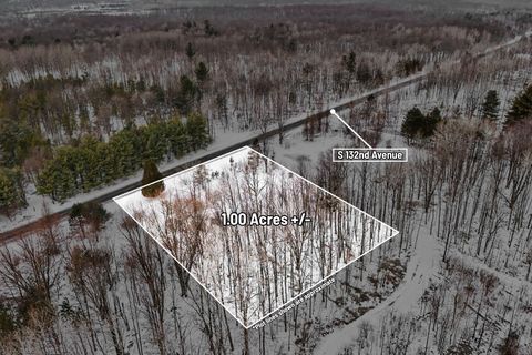 Photo of VL S 132nd Avenue, Shelby, MI 49455 (MLS # 26011020)