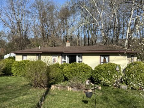 Photo of 6283 Brooklyn Road, Jackson, MI 49201 (MLS # 26017621)